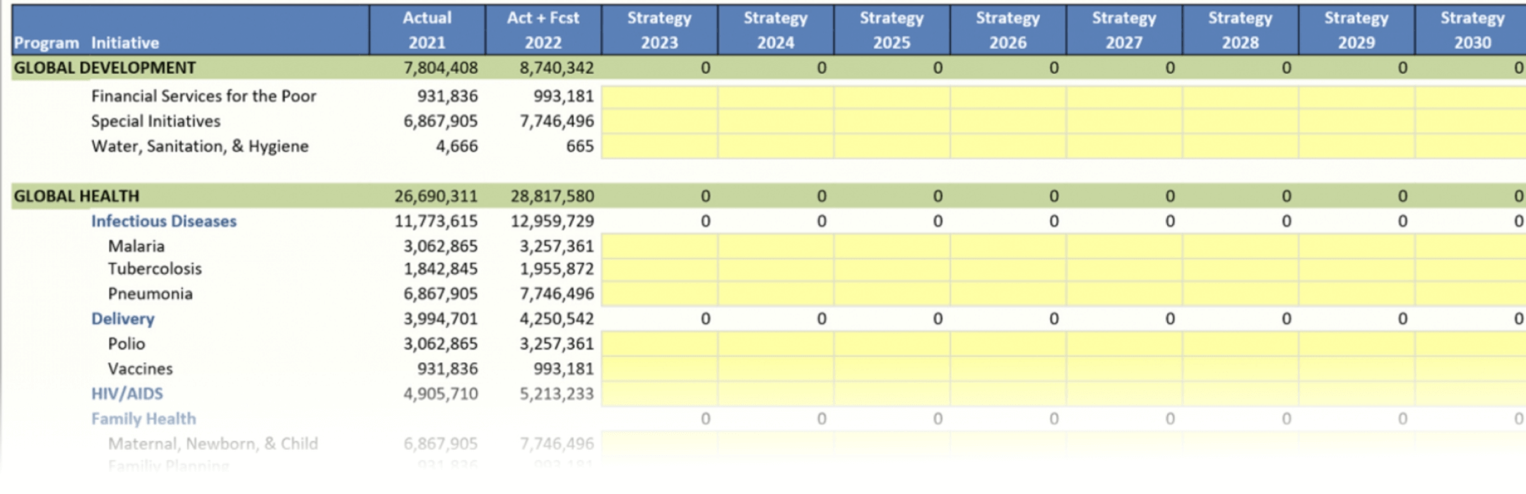 Multi-year budget template