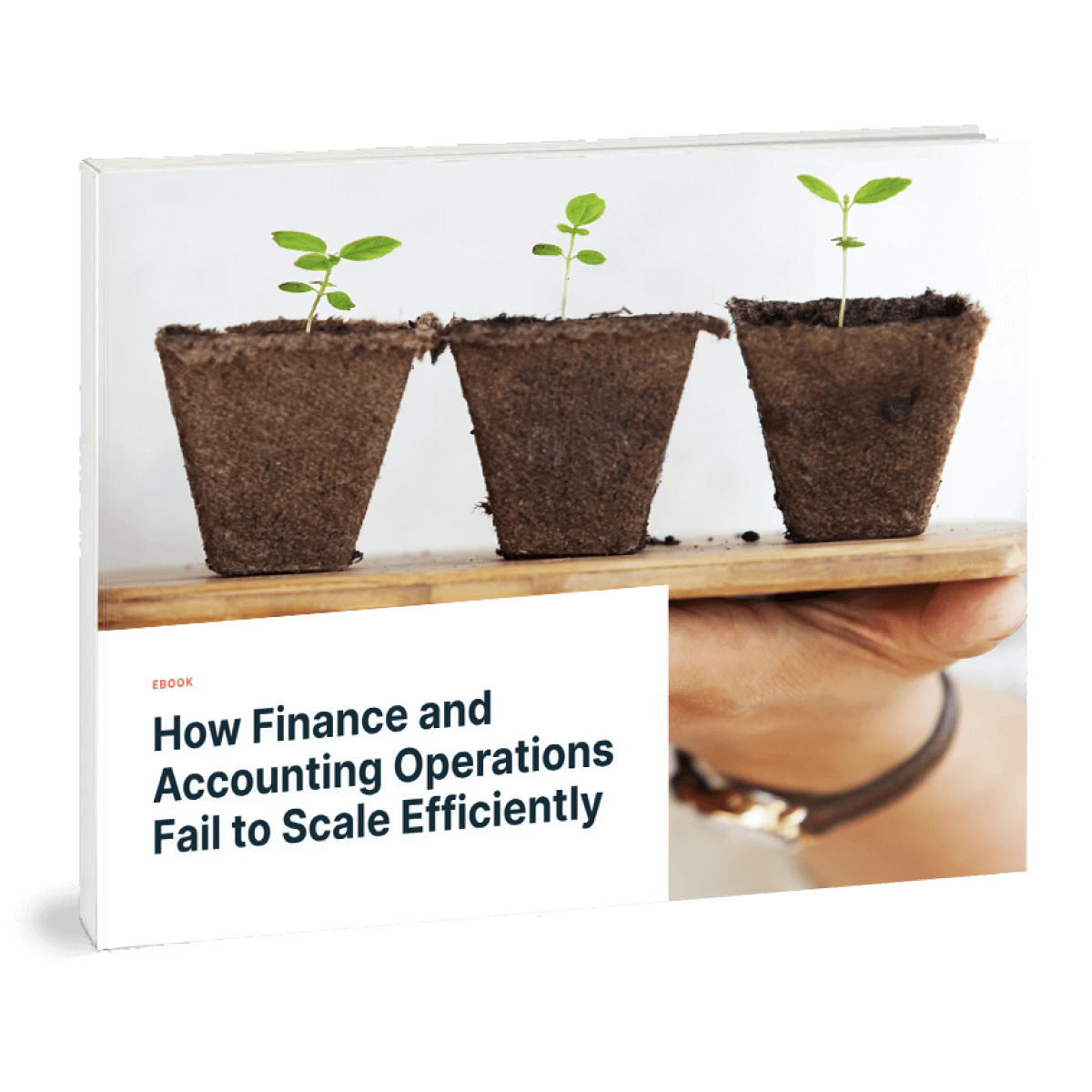 Building Finance And Accounting Teams That Scale | Ebook