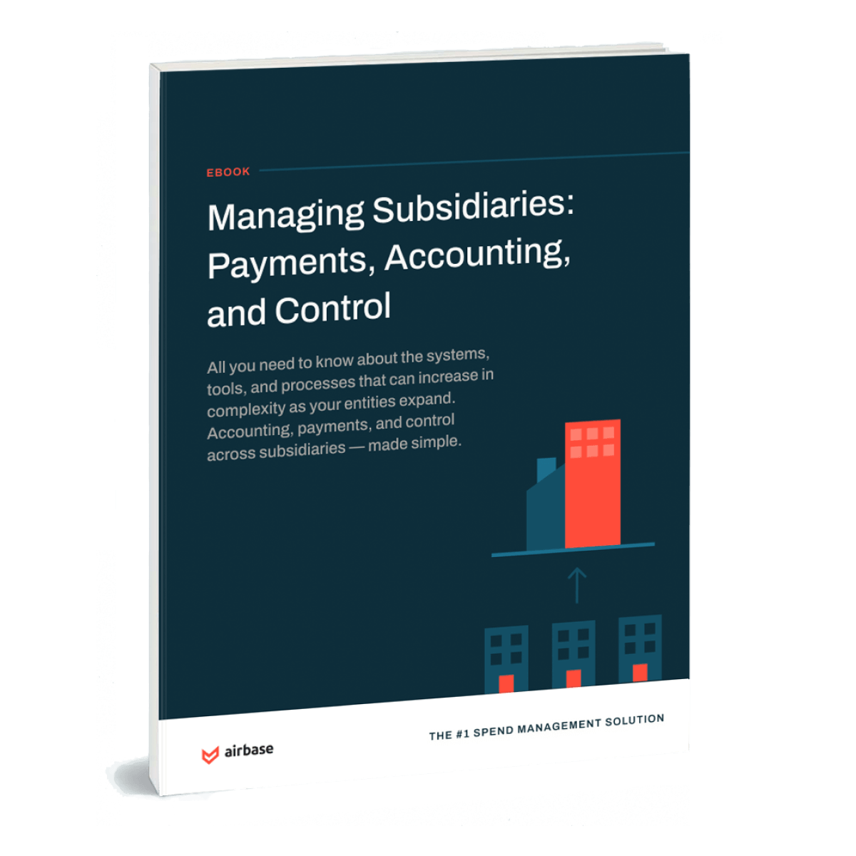 Managing Subsidiaries: Accounting, Payments, and Control