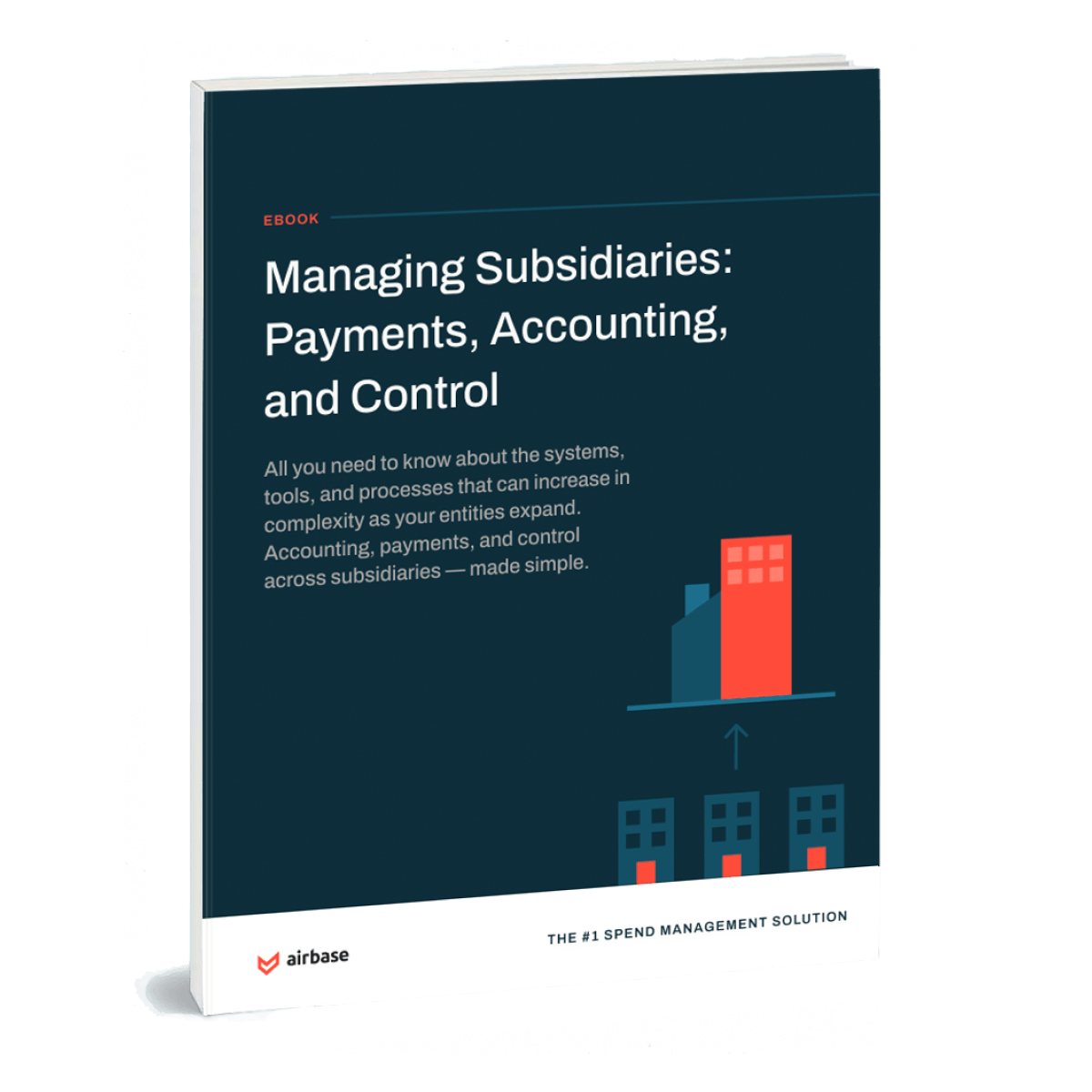Managing Subsidiaries: Accounting, Payments, And Control