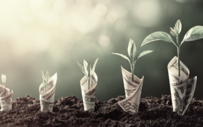 How The Best Procurement Software Helps Unicorns